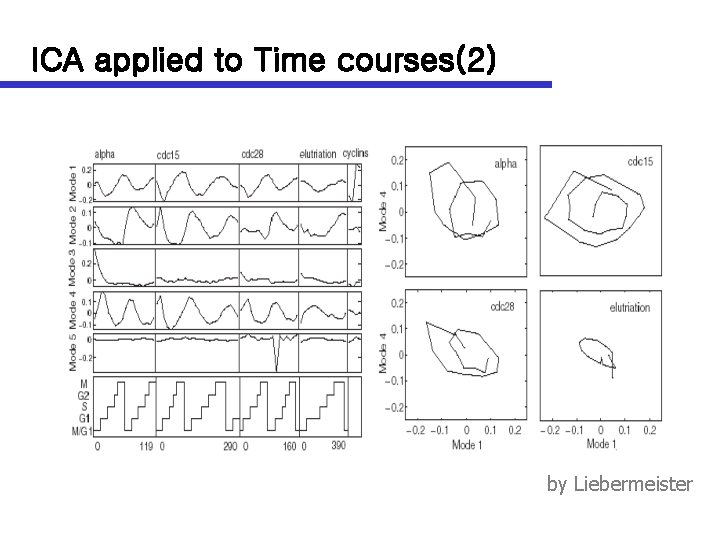 ICA applied to Time courses(2) by Liebermeister 