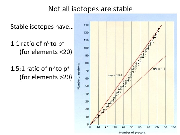 Not all isotopes are stable Stable isotopes have… 1: 1 ratio of n 0