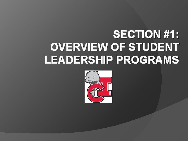 SECTION #1: OVERVIEW OF STUDENT LEADERSHIP PROGRAMS 