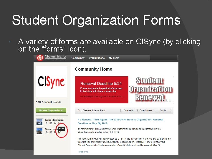 Student Organization Forms A variety of forms are available on CISync (by clicking on