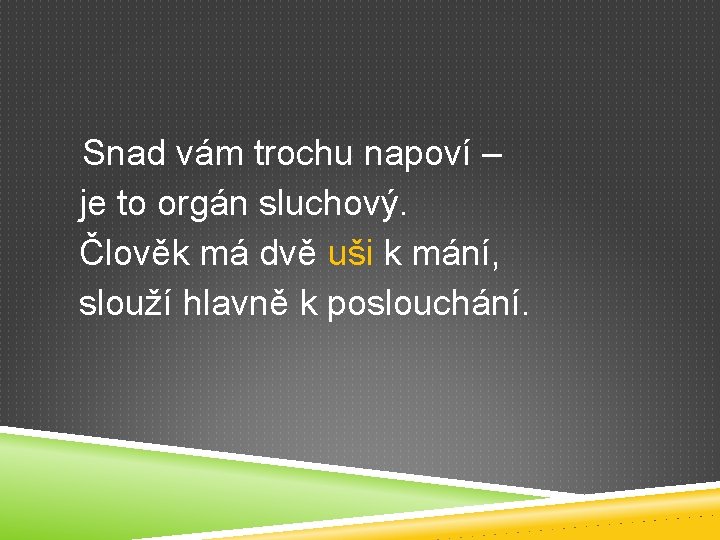 Snad vám trochu napoví – je to orgán sluchový. Člověk má dvě uši k