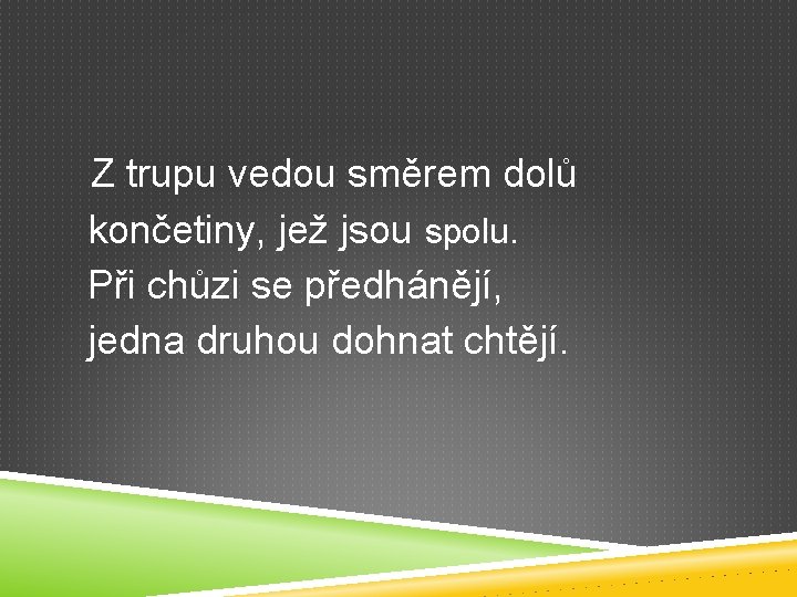 Z trupu vedou směrem dolů končetiny, jež jsou spolu. Při chůzi se předhánějí, jedna