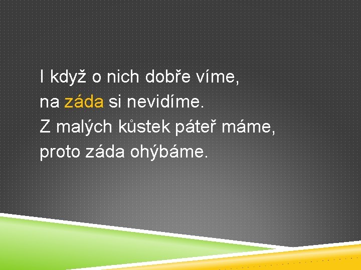 I když o nich dobře víme, na záda si nevidíme. Z malých kůstek páteř