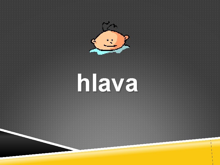 hlava 