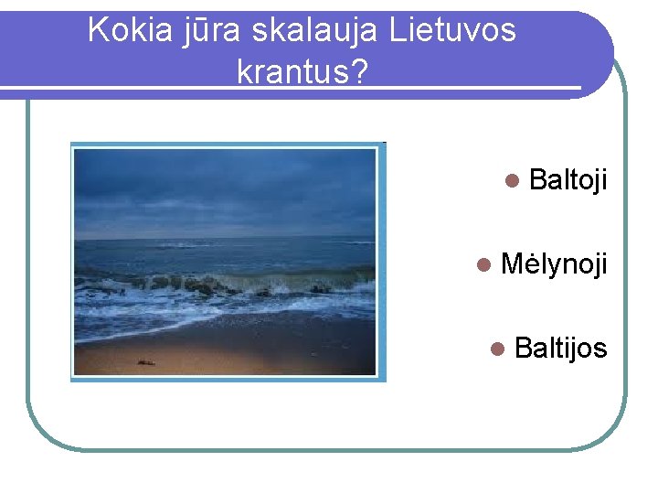 Kokia jūra skalauja Lietuvos krantus? l Baltoji l Mėlynoji l Baltijos 