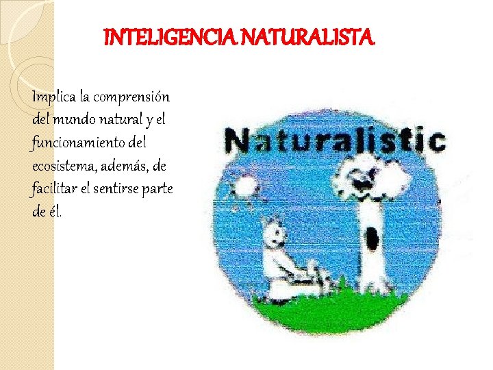 INTELIGENCIA NATURALISTA Implica la comprensión del mundo natural y el funcionamiento del ecosistema, además,