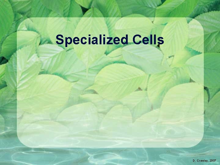 Specialized Cells D. Crowley, 2007 