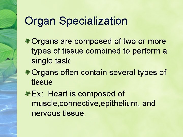 Organ Specialization Organs are composed of two or more types of tissue combined to