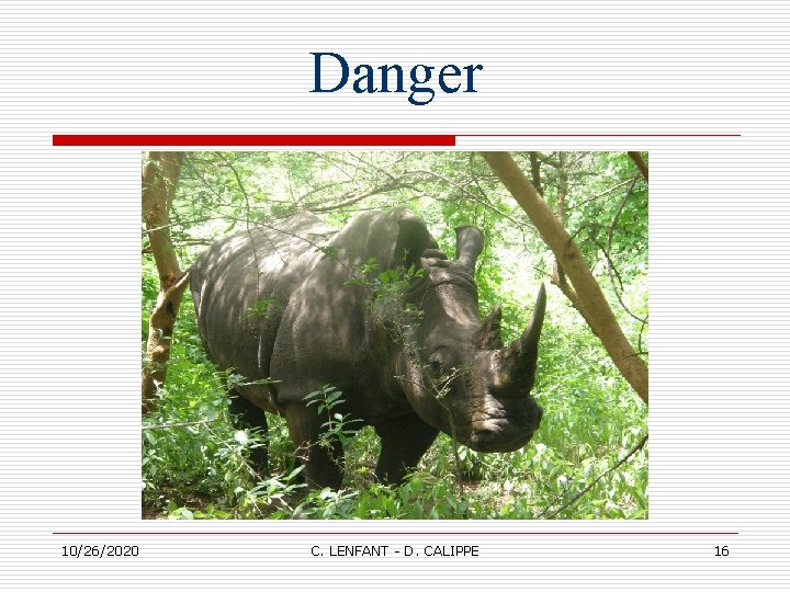 Danger 10/26/2020 C. LENFANT - D. CALIPPE 16 Danger 10/26/2020 C. LENFANT - D. CALIPPE 16