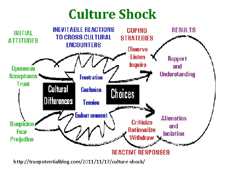 Culture Shock http: //truepotentialblog. com/2011/11/17/culture-shock/ 
