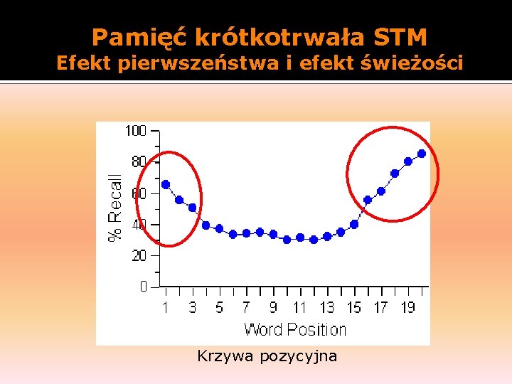 Pamięć krótkotrwała STM Efekt pierwszeństwa i efekt świeżości Krzywa pozycyjna 