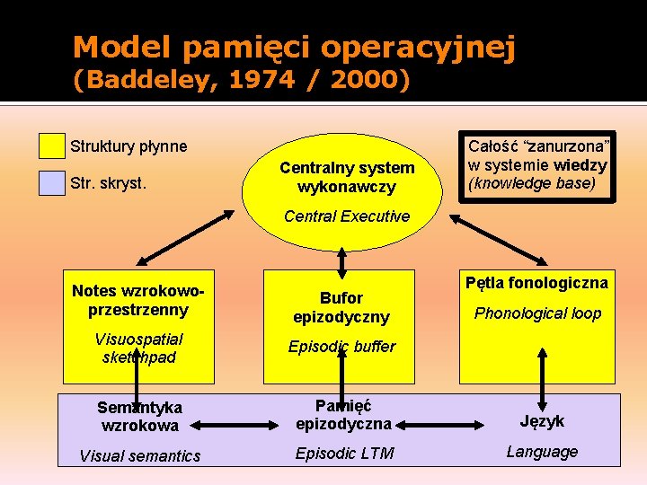 Model pamięci operacyjnej (Baddeley, 1974 / 2000) Struktury płynne Str. skryst. Centralny system wykonawczy