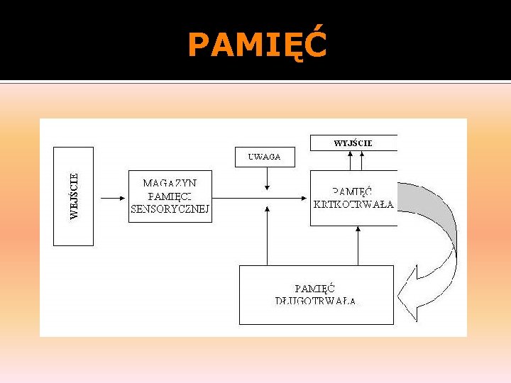 PAMIĘĆ 