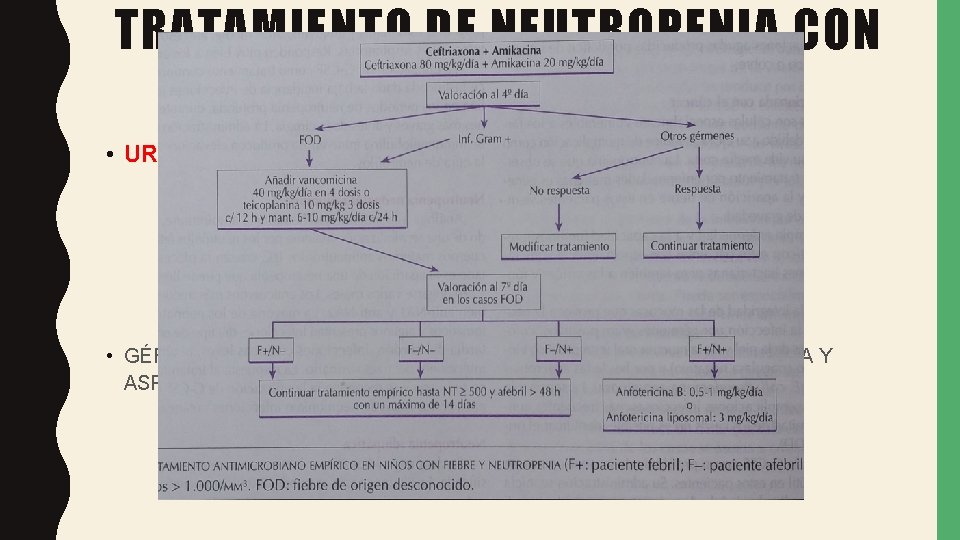 TRATAMIENTO DE NEUTROPENIA CON FIEBRE • URGENCIA INFECTOLÓGICA URGENCIA POLICULTIVAR ATB EMPÍRICOS EV •