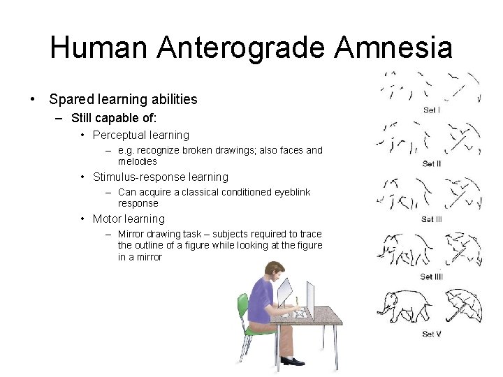 Human Anterograde Amnesia • Spared learning abilities – Still capable of: • Perceptual learning