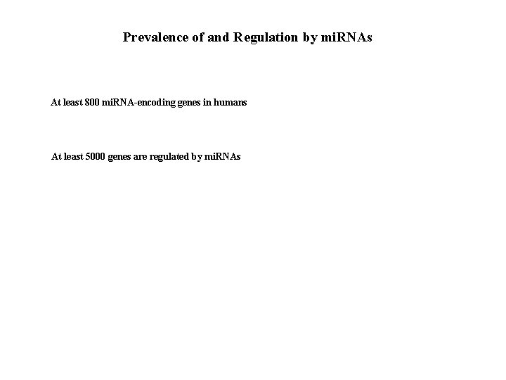Prevalence of and Regulation by mi. RNAs At least 800 mi. RNA-encoding genes in