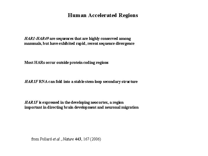 Human Accelerated Regions HAR 1 -HAR 49 are sequences that are highly conserved among