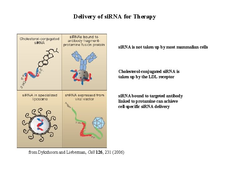 Delivery of si. RNA for Therapy si. RNA is not taken up by most