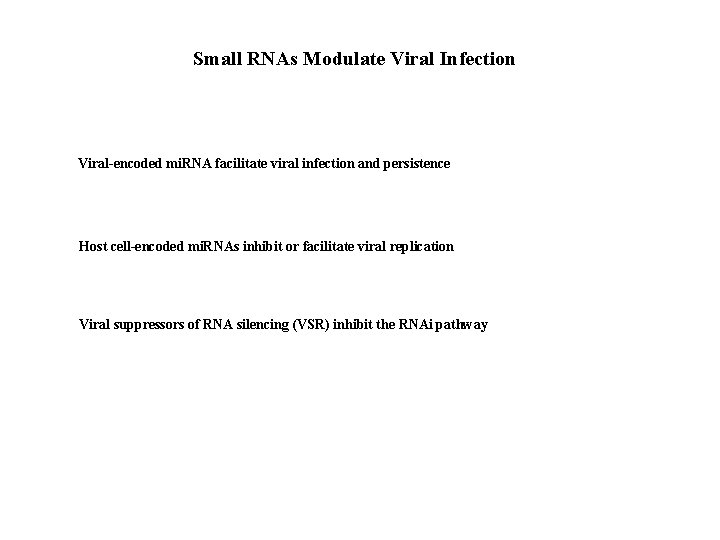 Small RNAs Modulate Viral Infection Viral-encoded mi. RNA facilitate viral infection and persistence Host