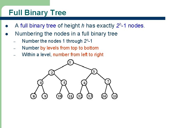 Full Binary Tree l l A full binary tree of height h has exactly