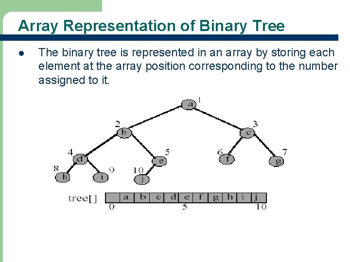 Array Representation of Binary Tree l The binary tree is represented in an array