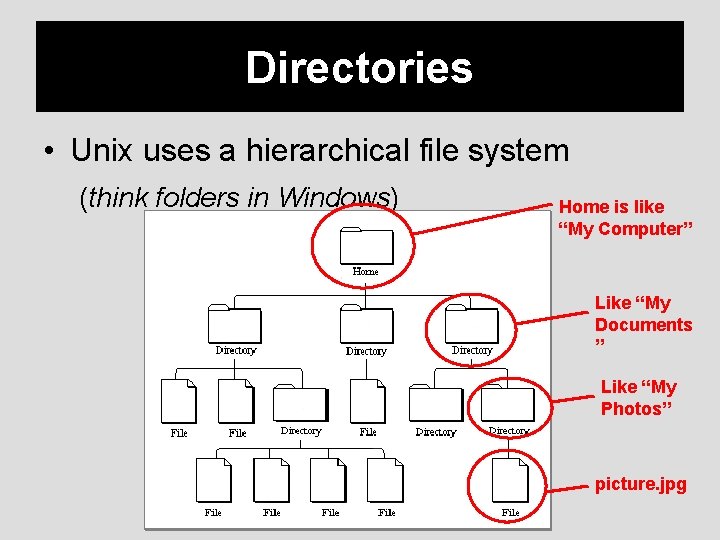 Directories • Unix uses a hierarchical file system (think folders in Windows) Home is