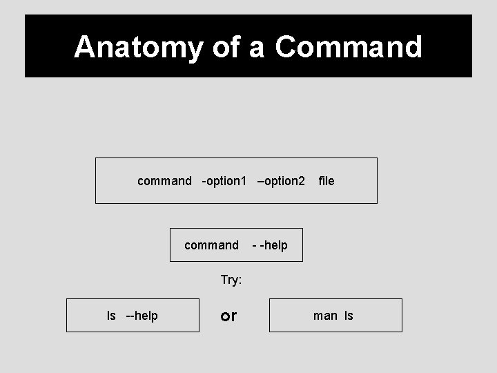 Anatomy of a Command command -option 1 –option 2 command file - -help Try: