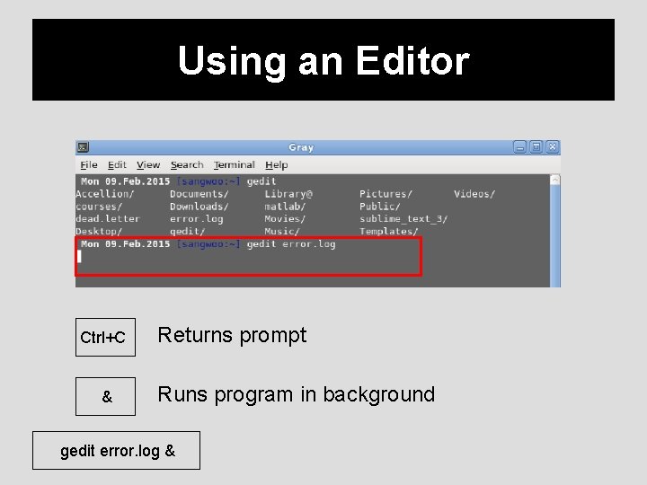 Using an Editor Ctrl+C & Returns prompt Runs program in background gedit error. log