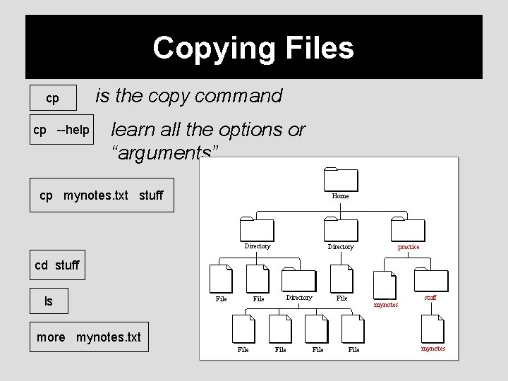 Copying Files cp cp --help is the copy command learn all the options or