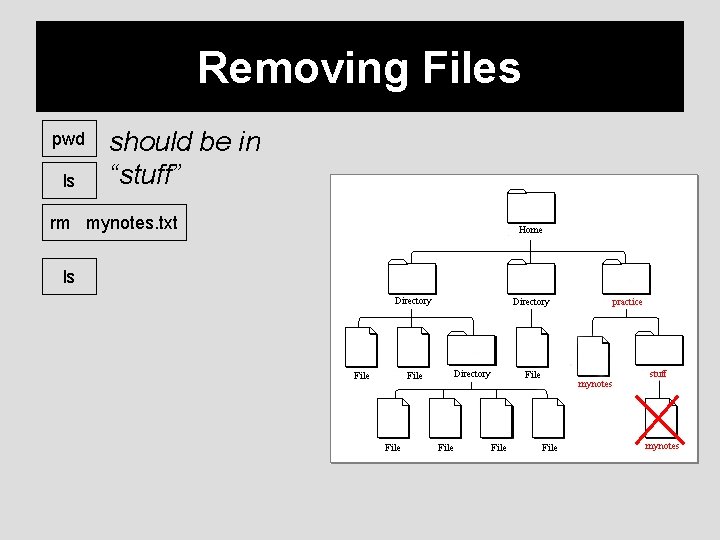 Removing Files pwd ls should be in “stuff” rm mynotes. txt ls 