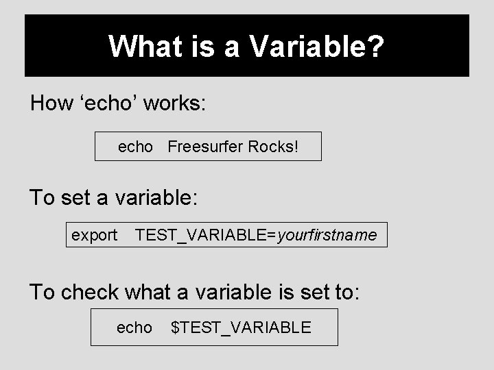 What is a Variable? How ‘echo’ works: echo Freesurfer Rocks! To set a variable: