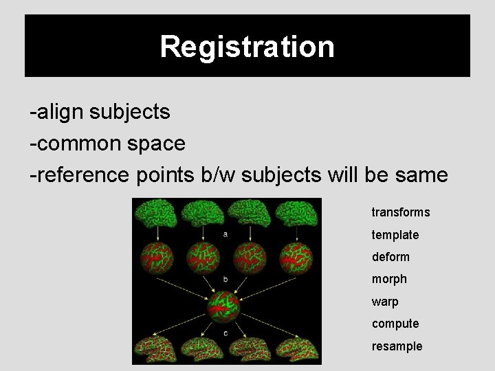 Registration -align subjects -common space -reference points b/w subjects will be same transforms template