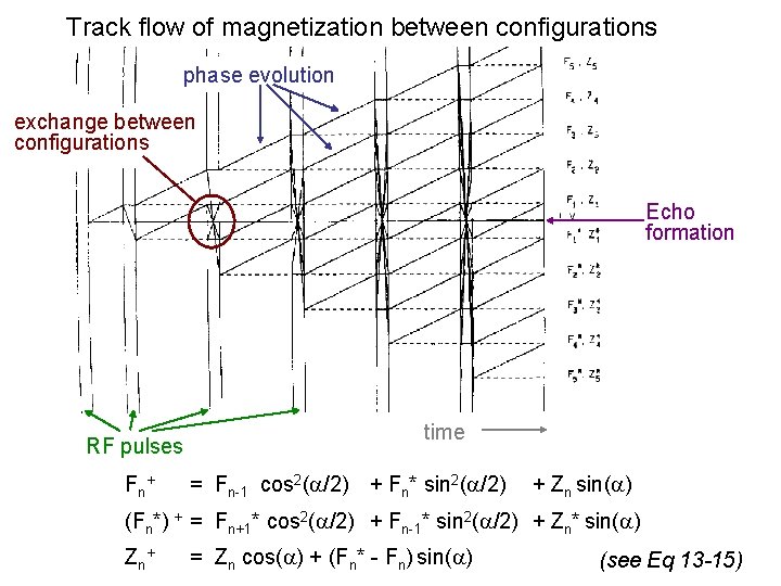 Track flow of magnetization between configurations phase evolution exchange between configurations Echo formation RF