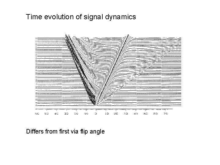 Time evolution of signal dynamics Differs from first via flip angle 