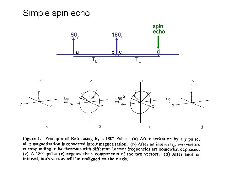 Simple spin echo 90 y 180 x a b c TE spin echo d