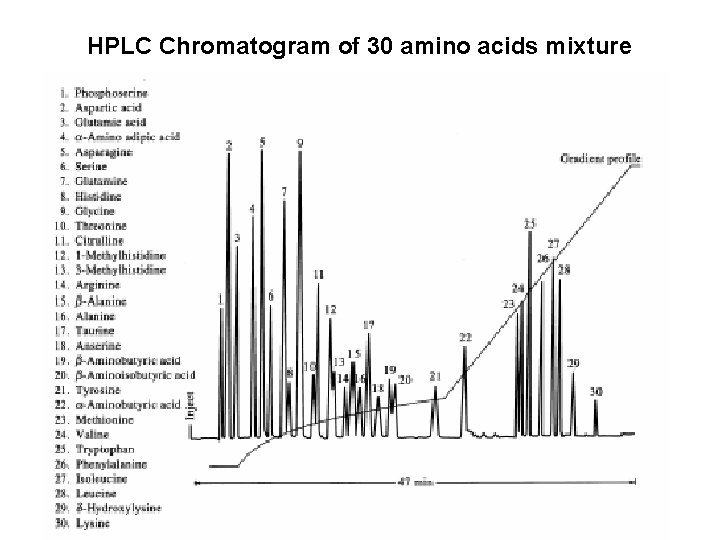 HPLC Chromatogram of 30 amino acids mixture 