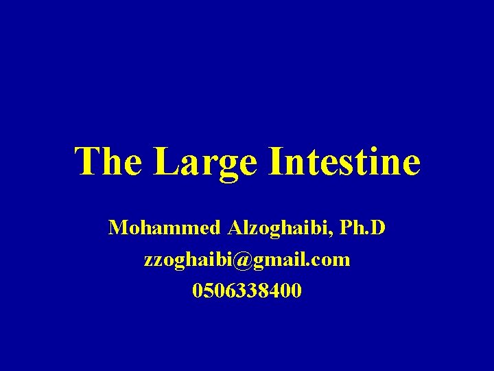 The Large Intestine Mohammed Alzoghaibi, Ph. D zzoghaibi@gmail. com 0506338400 