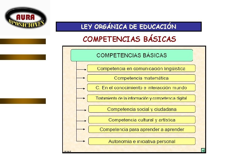 LEY ORGÁNICA DE EDUCACIÓN COMPETENCIAS BÁSICAS 