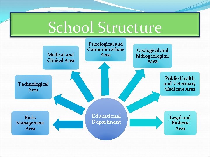 School Structure Medical and Clinical Area Psicological and Communications Area Public Health and Veterinary