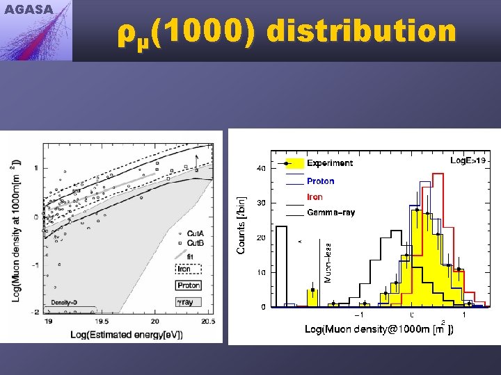 AGASA ρμ(1000) distribution 