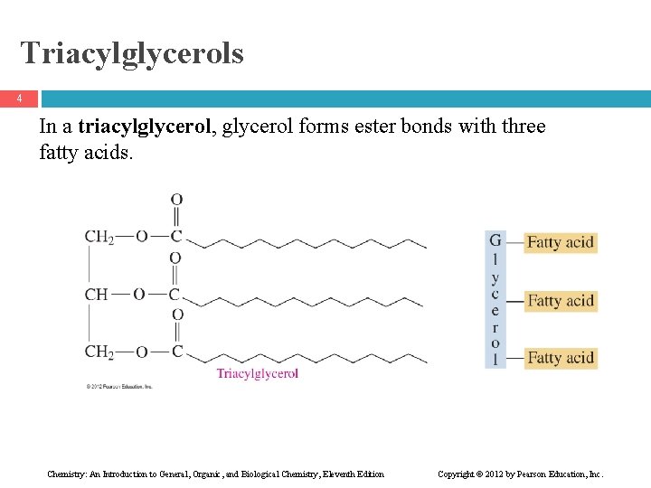 Triacylglycerols 4 In a triacylglycerol, glycerol forms ester bonds with three fatty acids. Chemistry: