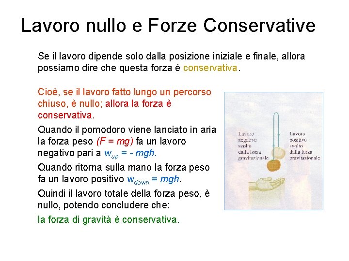 Lavoro nullo e Forze Conservative Se il lavoro dipende solo dalla posizione iniziale e