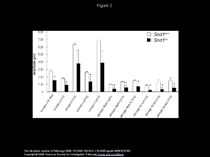 Figure 2 The American Journal of Pathology 2008 1721325 -1331 DOI: (10. 2353/ajpath. 2008.