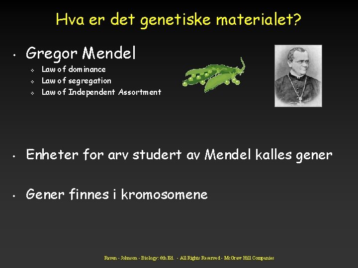 Hva er det genetiske materialet? • Gregor Mendel v v v Law of dominance