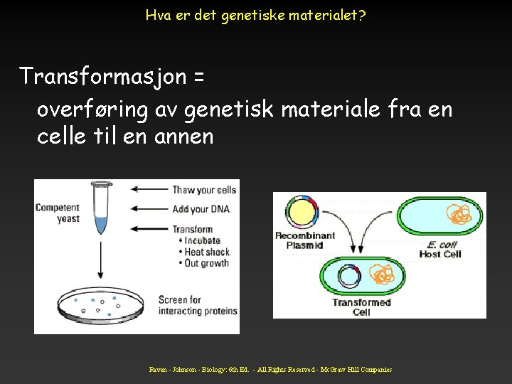 Hva er det genetiske materialet? Transformasjon = overføring av genetisk materiale fra en celle