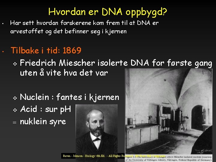 Hvordan er DNA oppbygd? • • Har sett hvordan forskerene kom frem til at