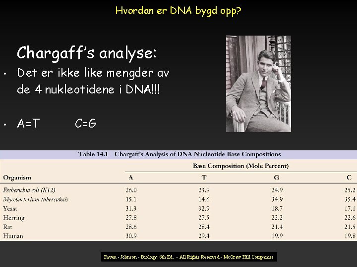 Hvordan er DNA bygd opp? Chargaff’s analyse: • • Det er ikke like mengder