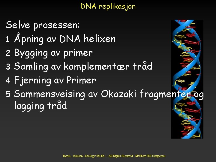 DNA replikasjon Selve prosessen: 1 Åpning av DNA helixen 2 Bygging av primer 3