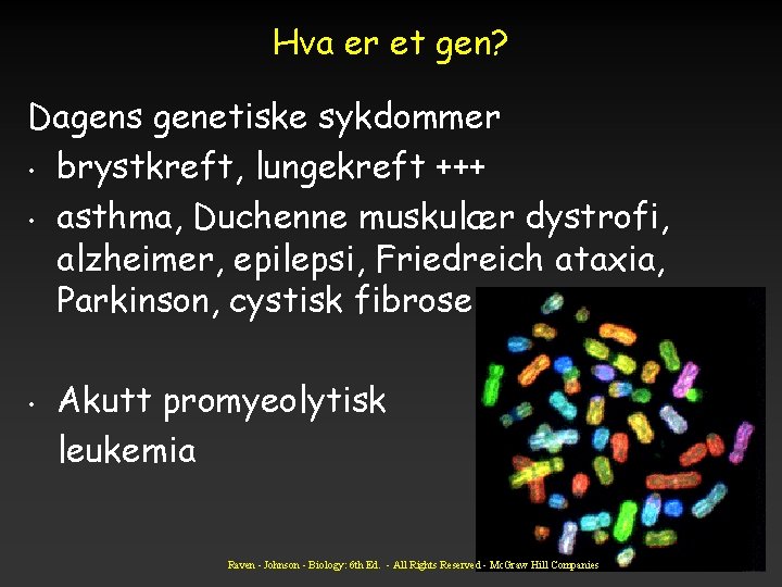 Hva er et gen? Dagens genetiske sykdommer • brystkreft, lungekreft +++ • asthma, Duchenne