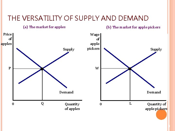 THE VERSATILITY OF SUPPLY AND DEMAND (a) The market for apples Price of apples